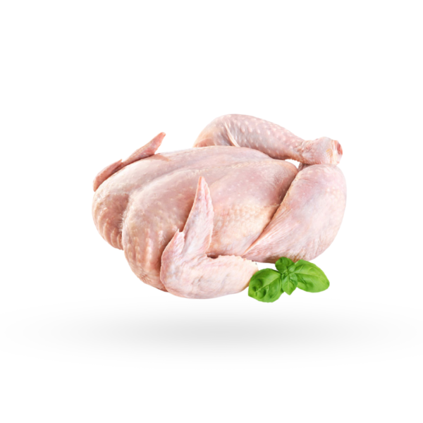 Baby (Spring) Chicken (Per KG)